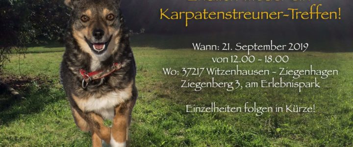 Karpatenstreuner Treffen 2019