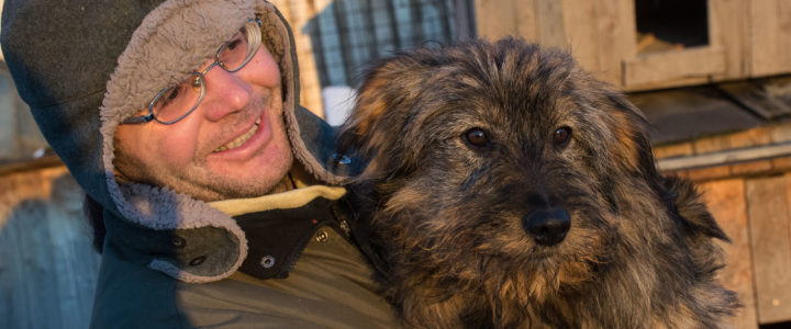 Wir benötigen dringend Eure Hilfe für Levente und bei der Vermittlung von Hunden